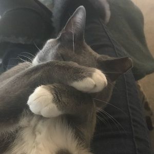 Meet your Posher, Debra